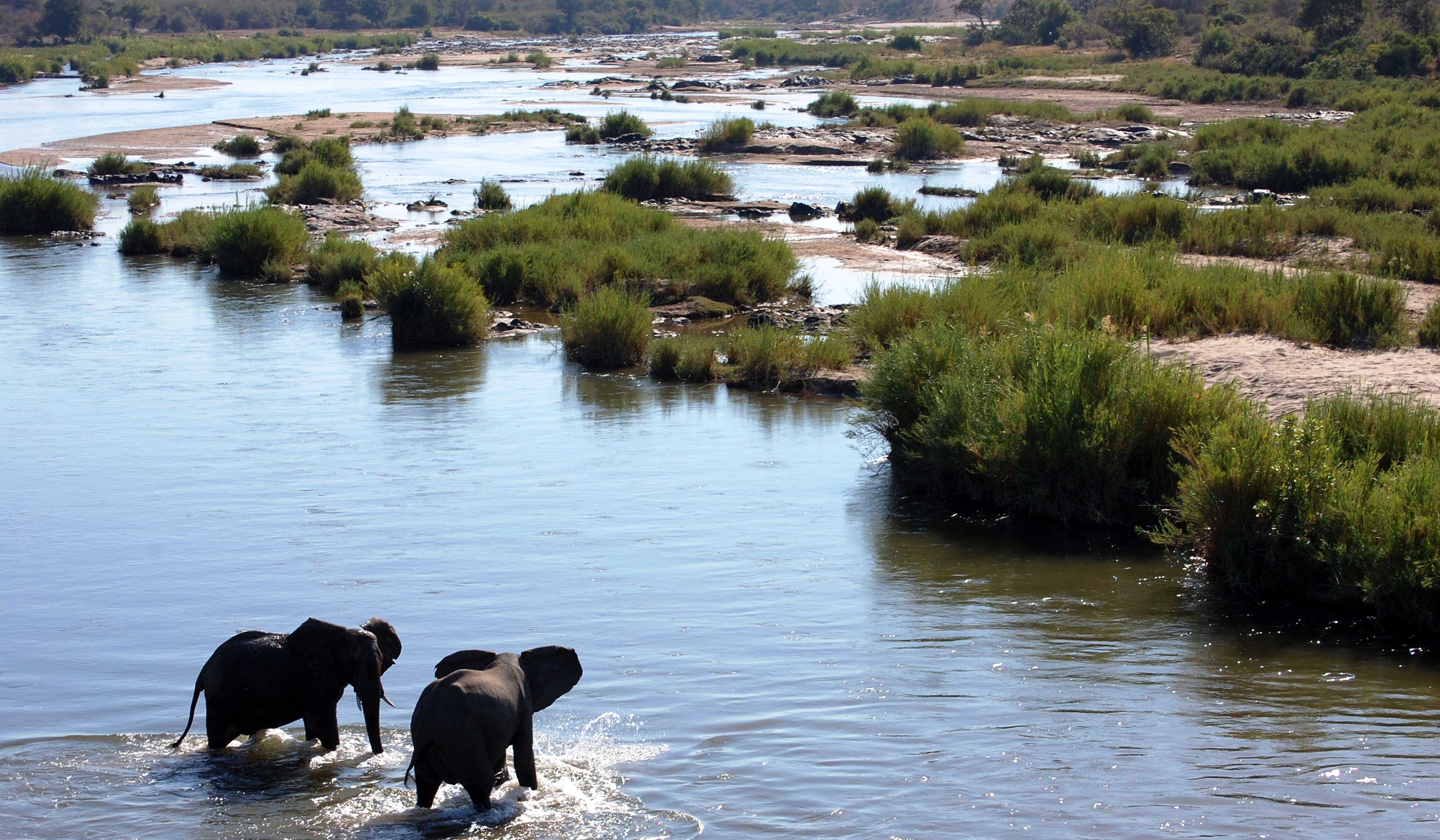 Johannesburg to Cape Town via Kruger National Park (21 Days) Tour