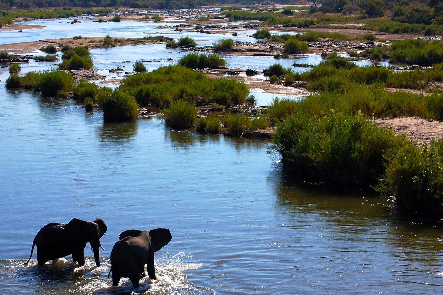 Kruger National Park - Africa Epic Safaris